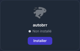 Carte Autobrr avant son installation