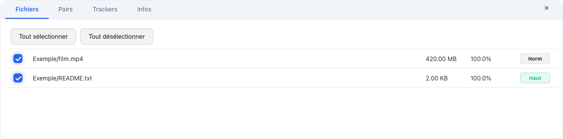 Panneau Fichiers avec des noms de fichiers fictifs