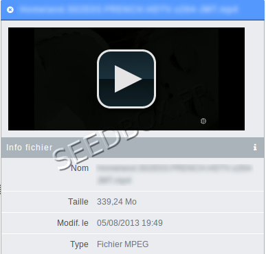 Lecteur vidéo intégré