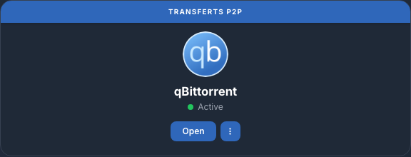 Scheda qBittorrent attiva in La mia console
