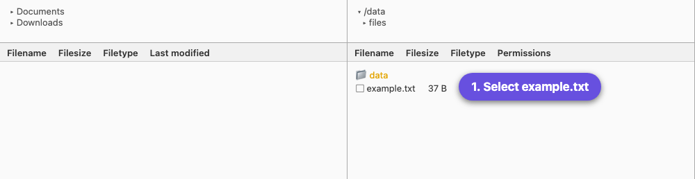 Baixar un fitxer amb FileZilla
