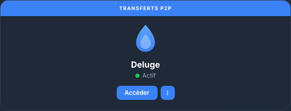 Carte Deluge active dans Ma console
