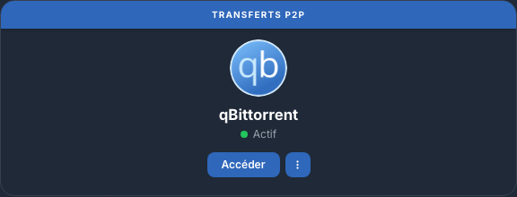 Carte qBittorrent active dans Ma console