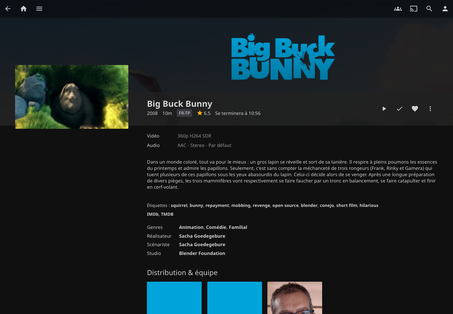 Fiche de Big Buck Bunny dans Jellyfin