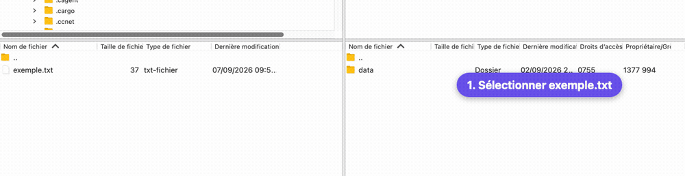 Télécharger un fichier de la Seedbox avec FileZilla