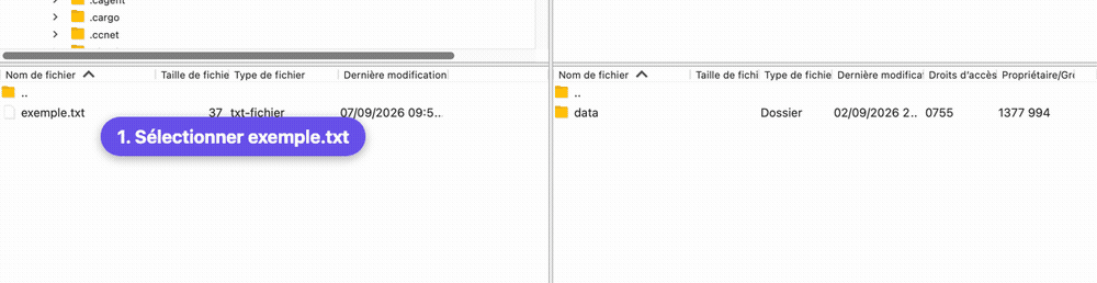 Envoyer un fichier vers la Seedbox avec FileZilla