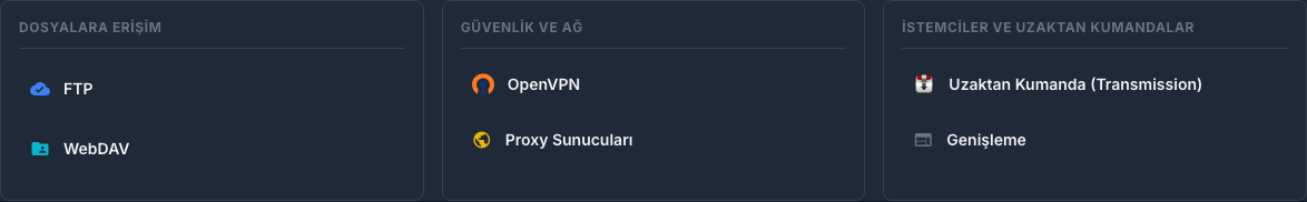 Dosyalara, VPN'e, proxy'ye ve uzak istemcilere erişim sağlayan Eklentiler sekmesi